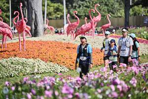 BIB: 
                            <button type="button" onclick="openModal(27794219)" class="btn btn-primary btn-sm float-right btn-popup" data-toggle="modal" data-target=".modal-high-quality">
                        <i class="fas fa-shopping-cart"></i> Add to Cart
                    </button>
                                            <button type="button" onclick="isThisMe(27794219, true)" class="btn btn-success btn-sm float-right btn-popup btn-isme hidden" data-toggle="tooltip" data-placement="bottom" title="นี่คือรูปของคุณใช่ไหม คลิกที่นี่เพื่อเอาเข้าอัลบั้ม">
                        <i class="fas fa-plus"></i> Add to album
                    </button>
                    <button type="button" onclick="isThisMe(27794219, false)" class="btn btn-warning btn-sm float-right btn-popup btn-isnotme hidden">
                        <i class="fas fa-ban"></i> Remove from album
                    </button>